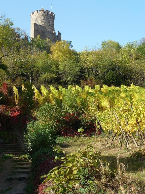 Hotel Les Remparts Kaysersberg-Vignoble Bagian luar foto