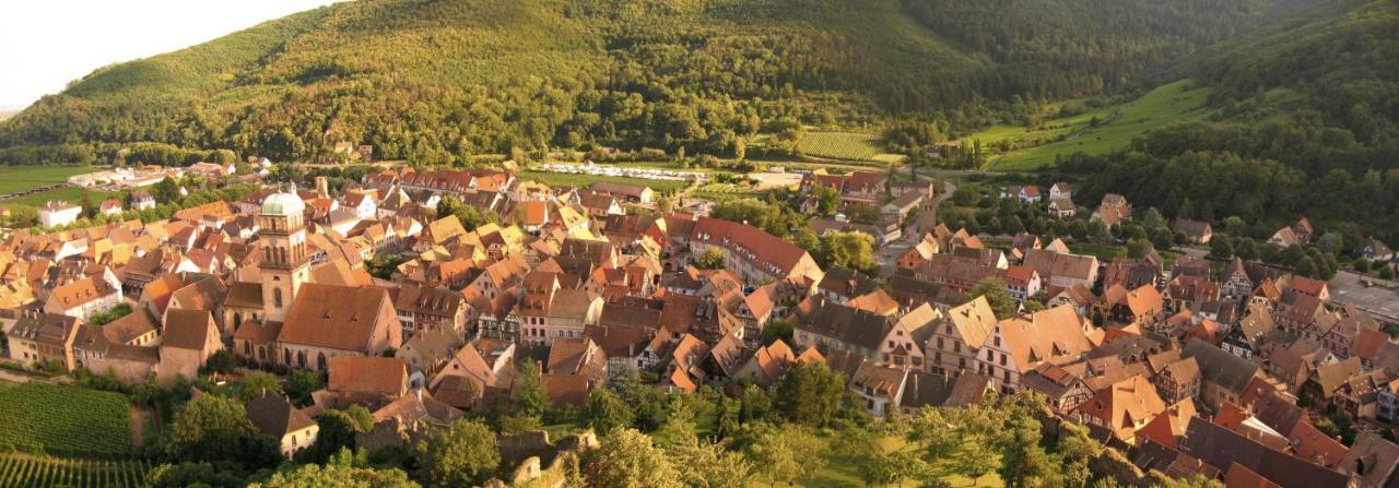 Hotel Les Remparts Kaysersberg-Vignoble Bagian luar foto