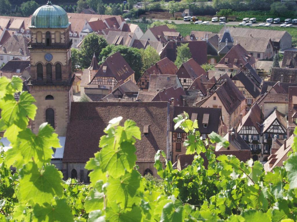 Hotel Les Remparts Kaysersberg-Vignoble Bagian luar foto